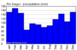 Rio Negro, Parana Brazil Annual Precipitation Graph